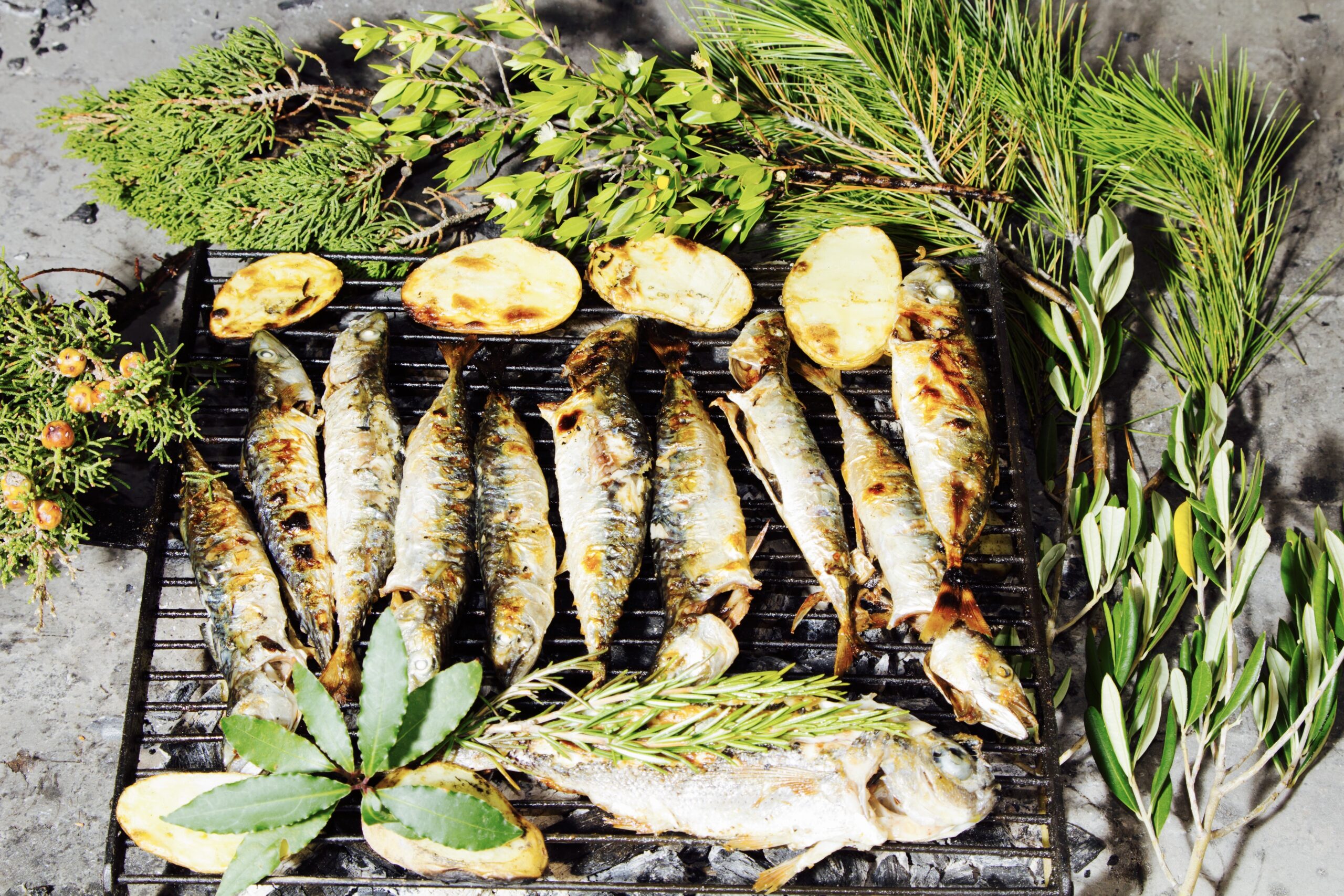 Fresh Mediterranean fishes with herbs on BBQ Villa Roots Croatia